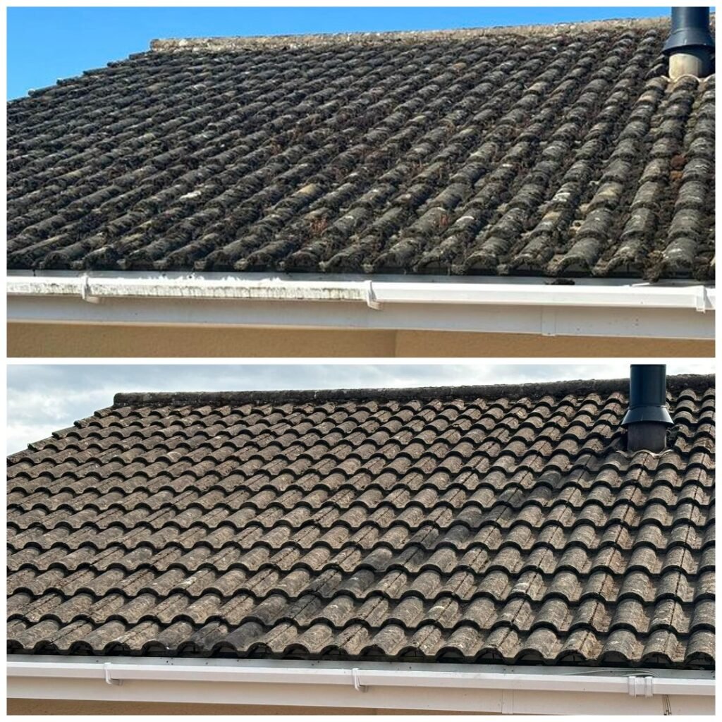 A roof clean before and after photo in Newton Abbot
