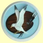 Our Commercial Partners: Ebeneezer Gallery Polperro - Jet Power Pressure Washing