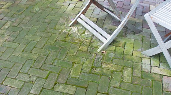 green-algae-patio-slabs-cornwall.jpg
